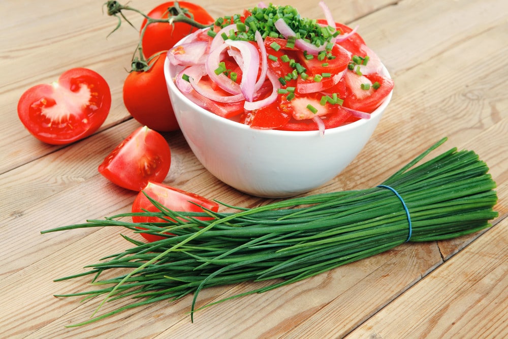 Aromatischer Tomatensalat mit Zwiebeln und Öl