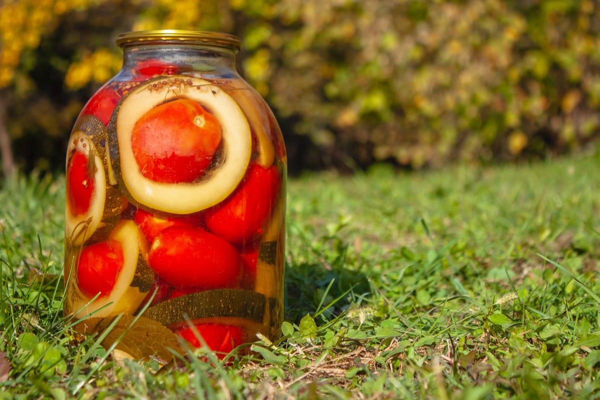 Eingelegte Zucchini mit Tomaten