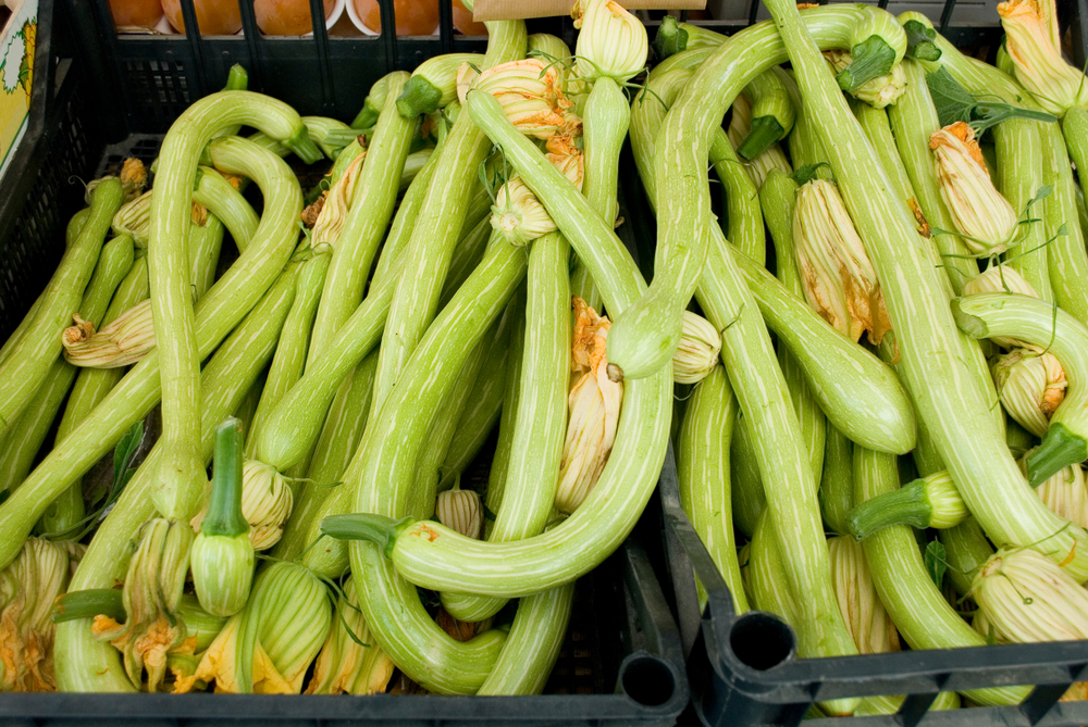 Zucchini in der internationalen Küche Eine köstliche Reise durch die Kulinarik