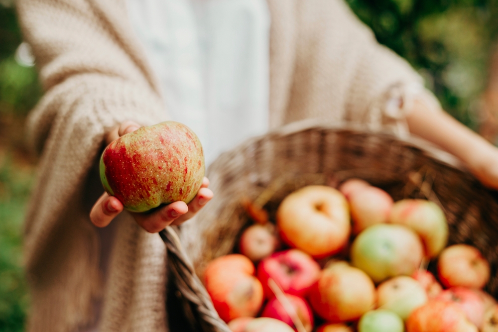 Warum Bio-Äpfel besser sind und wie man sie erkennt